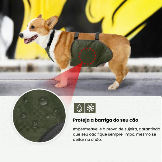 Faixa de Barriga Para Cães Luna LN789 PROTETOR ABDOMEN - 01