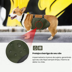 Faixa de Barriga Para Cães Luna LN789 PROTETOR ABDOMEN - 01