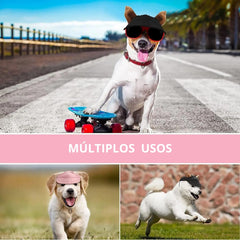 Boné Beisebol Para Animais de Estimação A - BONE - 01