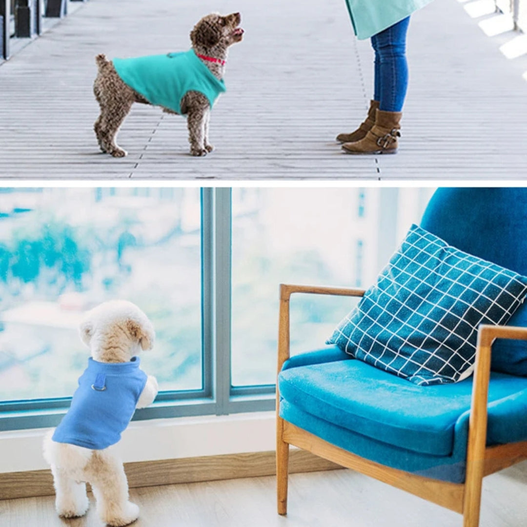 Jaqueta de Lã para Cães Pequenos