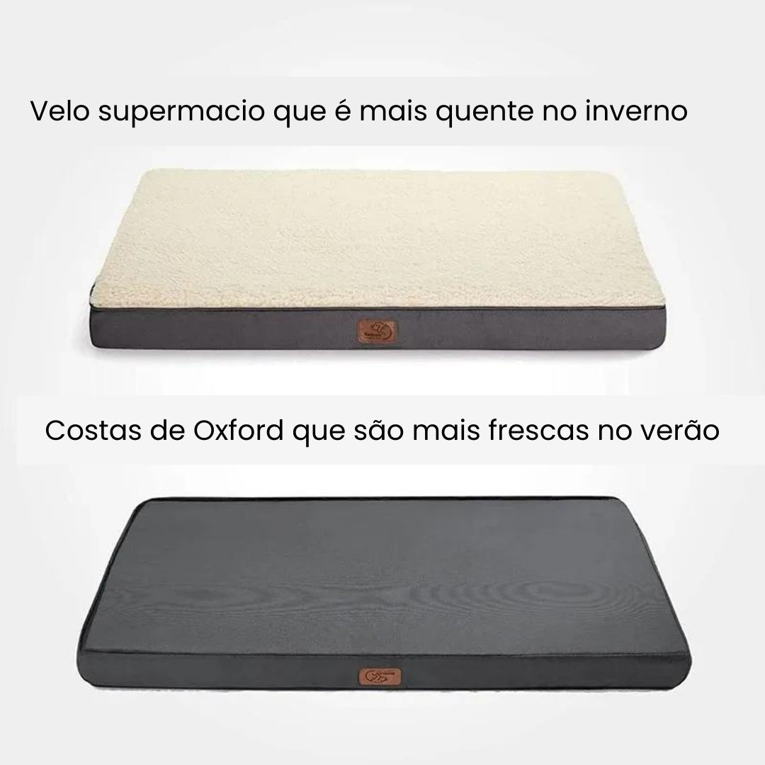 Cama Box Impermeável Para Cachorro - Dino C - CAMA - 62