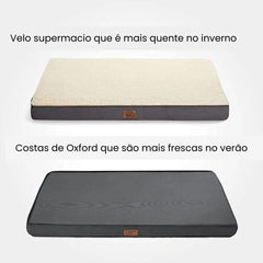 Cama Box Impermeável Para Cachorro - Dino C - CAMA - 62