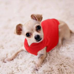 Roupa de Lã Macia para Cães Pequenos