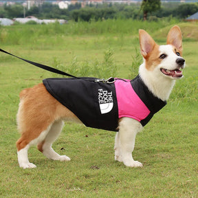 Jaqueta Acolchoada Impermeável com Zíper para Cães