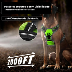 Peitoral com LED Recarregável para Cães Segurança Noturna
