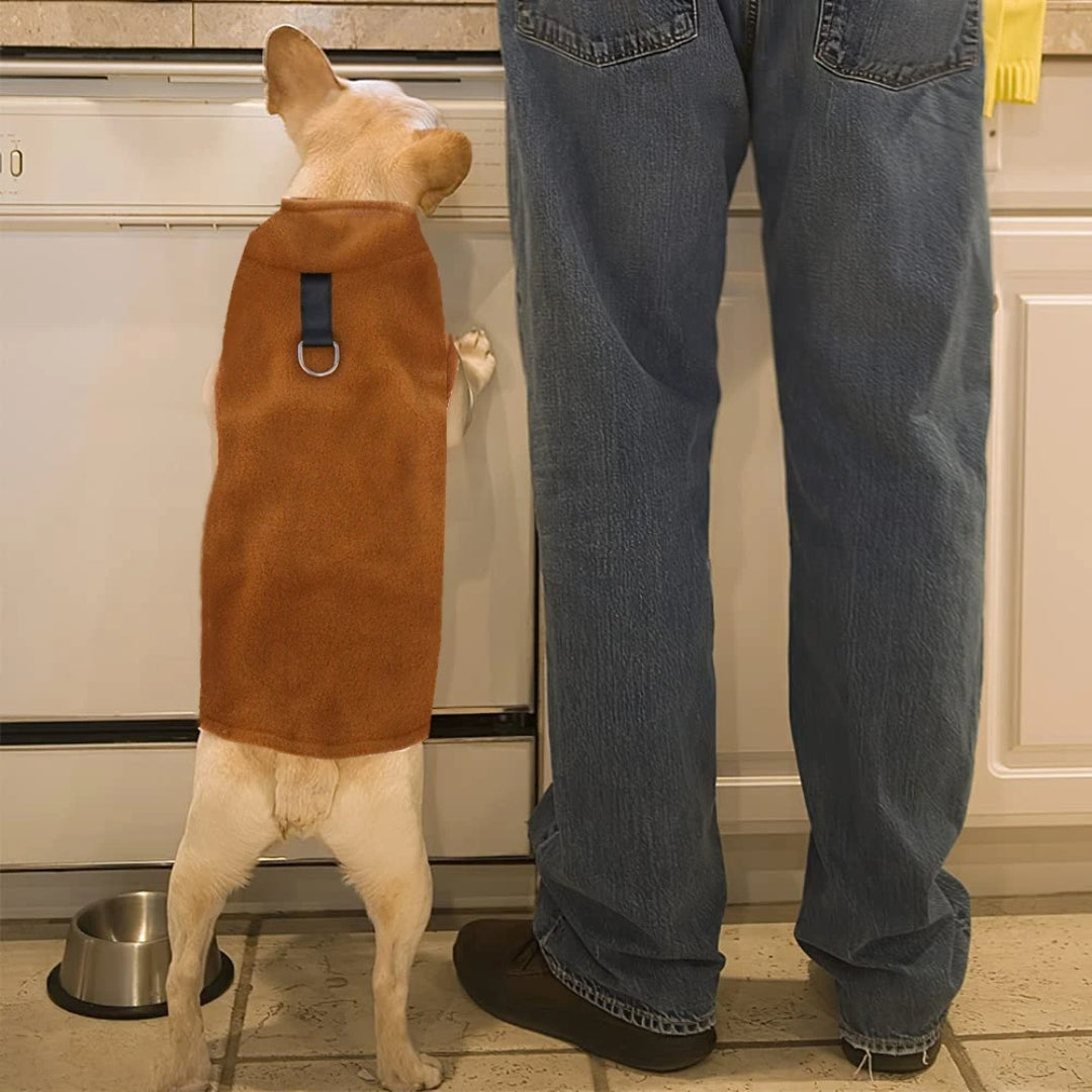 Roupa de Lã Macia para Cães Pequenos