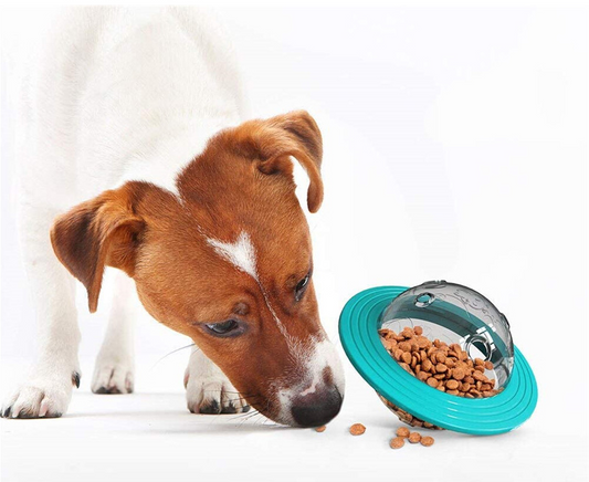 Brinquedo interativo para cães e gatos com dispenser de ração PetDisk BI - 01