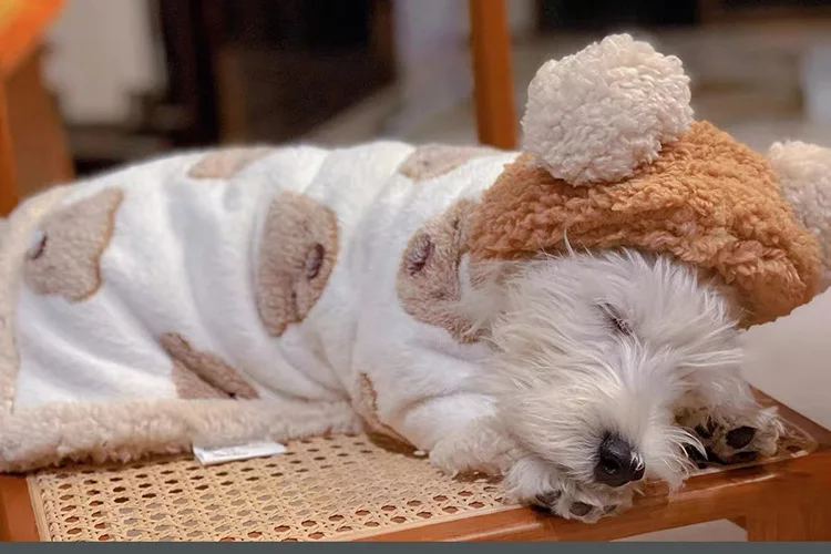 Roupinha Pet Branu R - ROUPA - 111