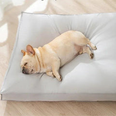 Cama Macia Para Pet - Phoenix C - CAMA - 52