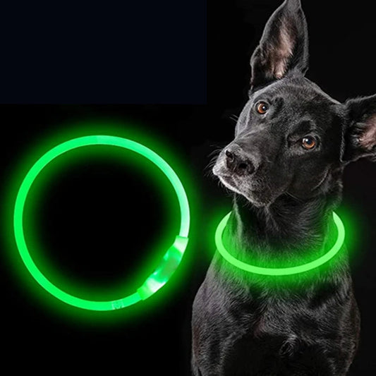 Colar de led luminoso para cachorro e gato Verde / P(35CM) S - colar - 01