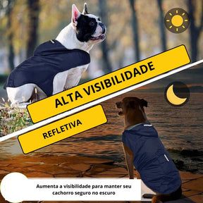 Corta Vento Impermeável Para Cães - DogRain