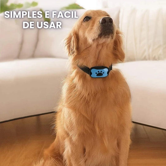 Coleira Antilatido Para Cães Sem Choque LatiStop CC - 03