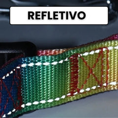 Coleira de Pino Treinamento com Estímulo C - COLEIRA - 21