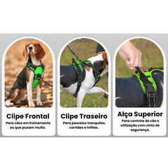 Peitoral com LED Recarregável para Cães Segurança Noturna