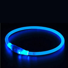 Colar de led luminoso para cachorro e gato Azul / P(35CM) S - colar - 01
