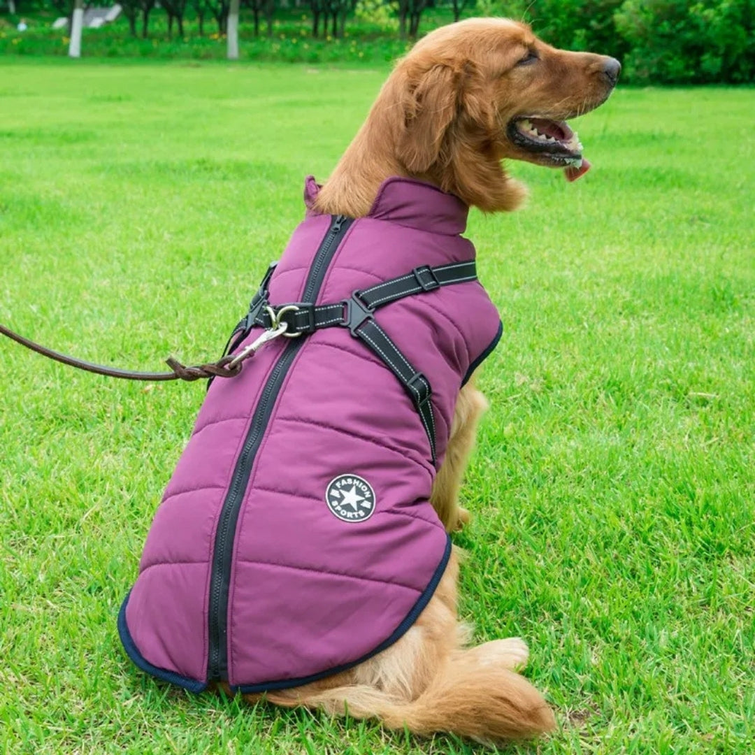 Roupas de Inverno em Lã para Cães Pequenos Roxo / P R - Roupas - 11