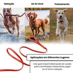 Guia de Treinamento Impermeável Luna LN467 C - COLEIRA - 22