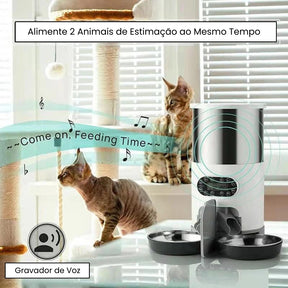 Alimentador de Cronometragem para Gatos - Gatic