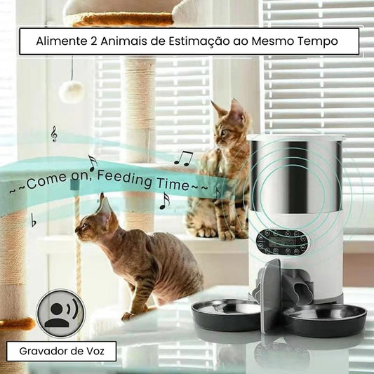 Alimentador de Cronometragem para Gatos - Gatic 3L - WiFi - 2 Tigela C - comedouro - 02