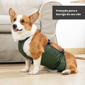 Faixa de Barriga Para Cães Luna LN789