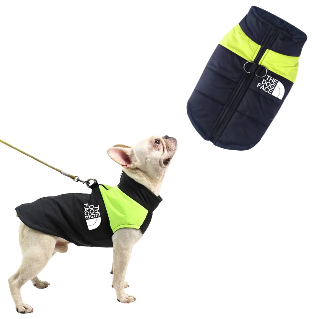 Jaqueta Acolchoada Impermeável com Zíper para Cães Verde / P R - roupas - 07