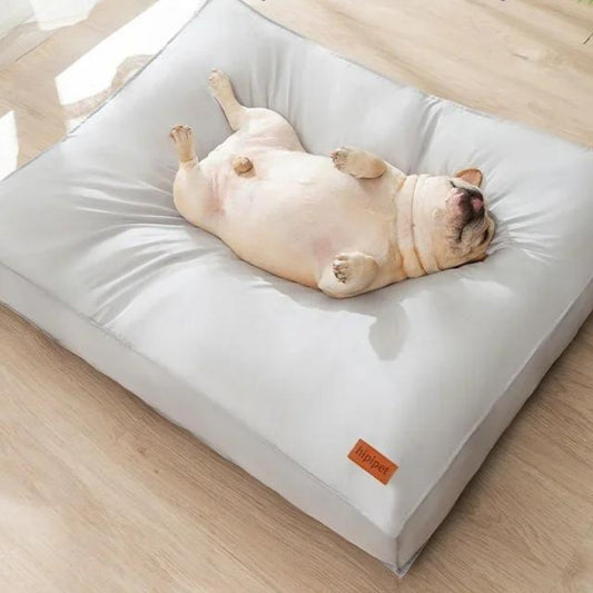 Cama Macia Para Pet - Phoenix C - CAMA - 52