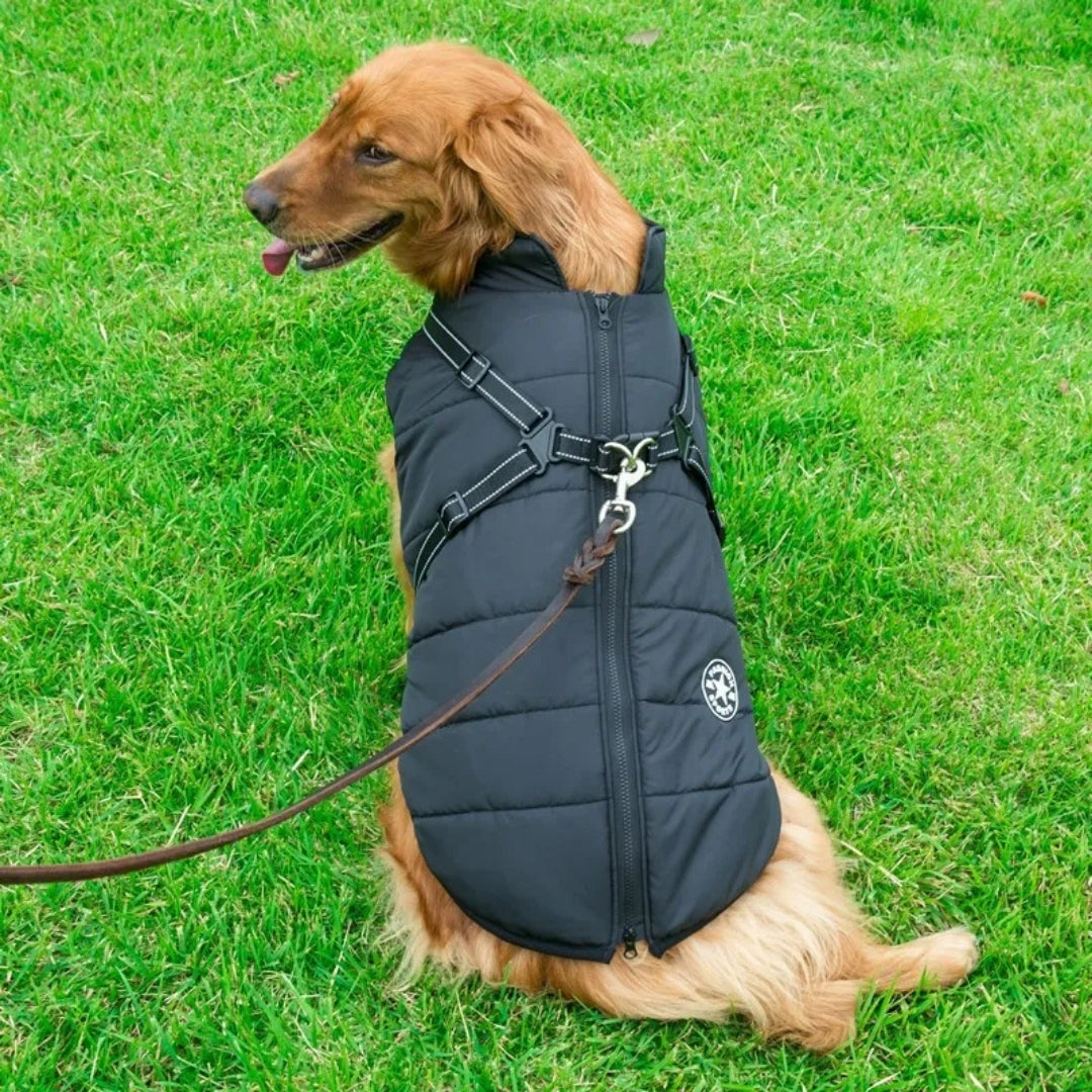 Roupas de Inverno em Lã para Cães Pequenos Preto / P R - Roupas - 11