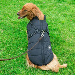 Roupas de Inverno em Lã para Cães Pequenos Preto / P R - Roupas - 11