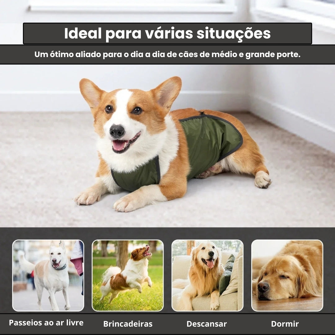 Faixa de Barriga Para Cães Luna LN789 PROTETOR ABDOMEN - 01