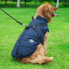 Roupas de Inverno em Lã para Cães Pequenos Azul / P R - Roupas - 11