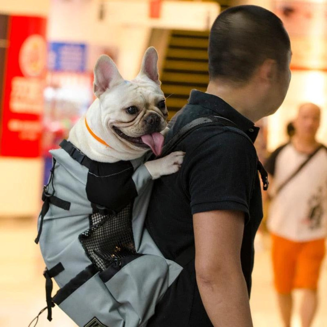 Mochila cangurú para cachorros grande Pet Explorer