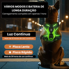 Peitoral com LED Recarregável para Cães Segurança Noturna