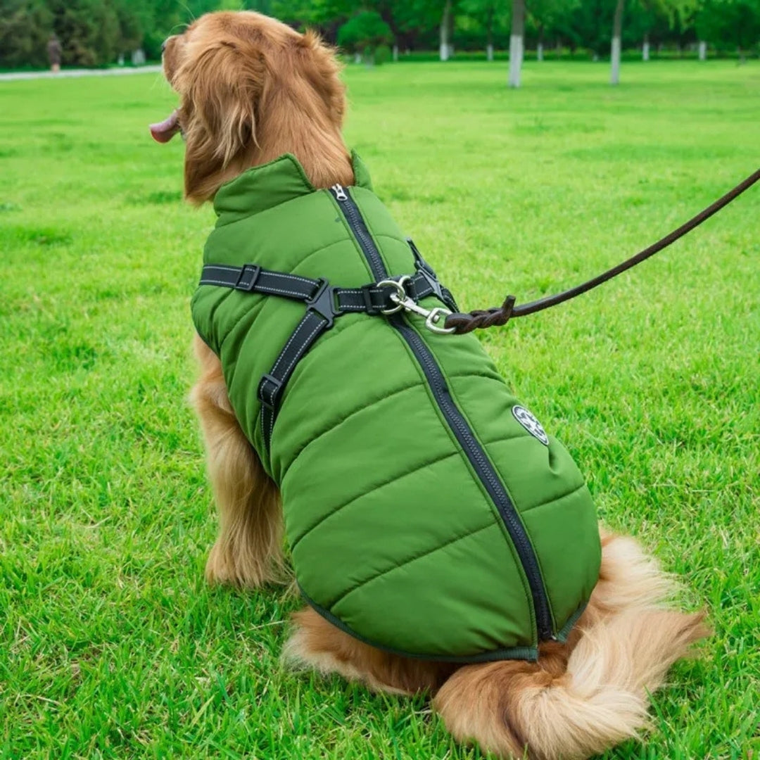 Roupas de Inverno em Lã para Cães Pequenos Verde / P R - Roupas - 11