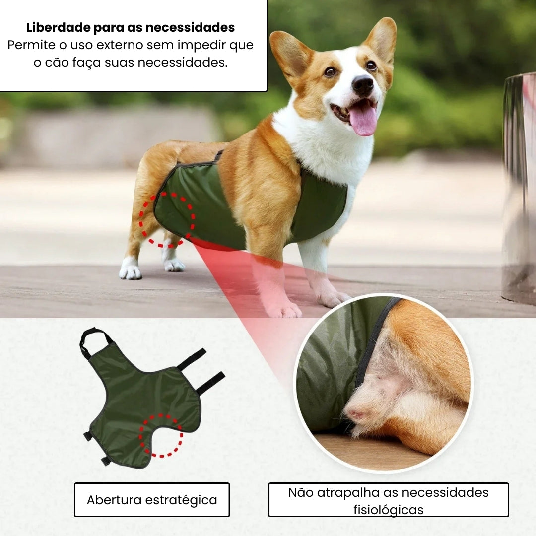 Faixa de Barriga Para Cães Luna LN789 PROTETOR ABDOMEN - 01