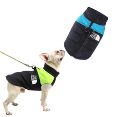 Jaqueta Acolchoada Impermeável com Zíper para Cães Azul / P R - roupas - 07