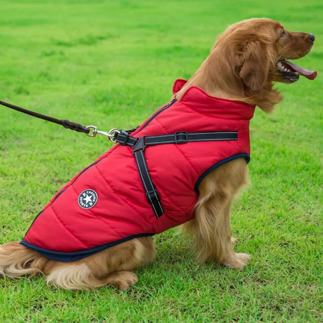 Roupas de Inverno em Lã para Cães Pequenos Vermelho / P R - Roupas - 11