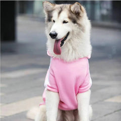 Roupa Esportiva Adidog para Cachorro com Capuz