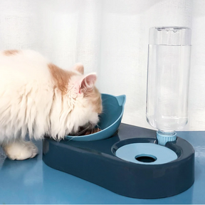 Comedouro e bebedouro ergonômico para gatos CatFeed