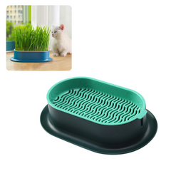 Bandeja para Cultivo de Grama para Gatos Verde A - Bandeja Grama - 01