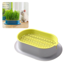 Bandeja para Cultivo de Grama para Gatos Amarelo A - Bandeja Grama - 01