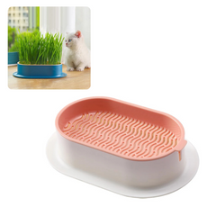 Bandeja para Cultivo de Grama para Gatos Rosa A - Bandeja Grama - 01