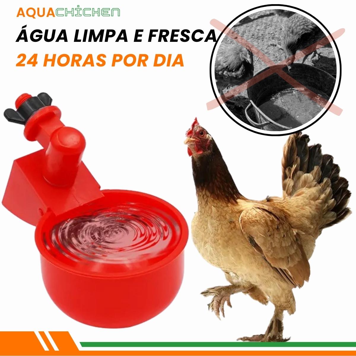 Bebedouro automático para galinhas AquaChicken