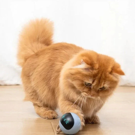 Bolinha de brinquedo inteligente para cães PupIQ Ball B - Bola - 02