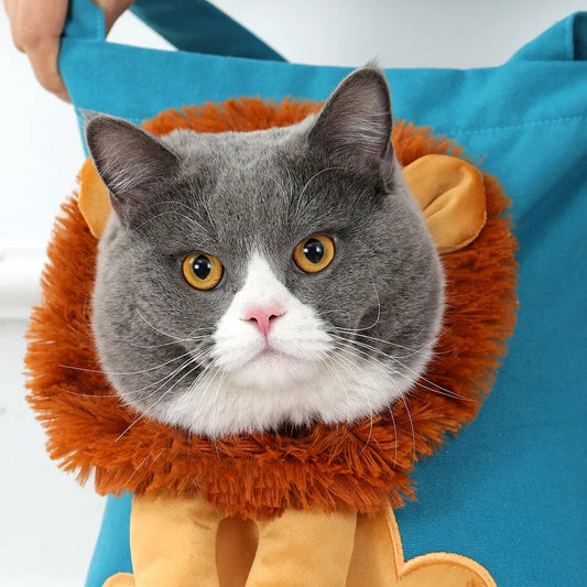 Bolsa de Transporte para Gatos Estilo Leãozinho A -Bolsa - 01