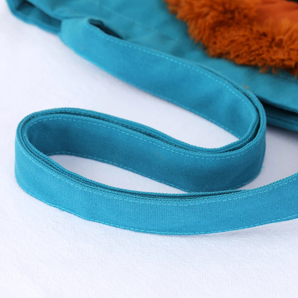 Bolsa de Transporte para Gatos Estilo Leãozinho A -Bolsa - 01