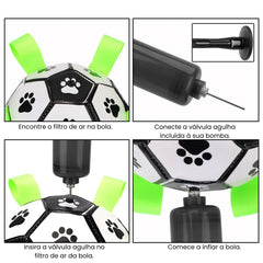 Brinquedo Bola Interativa para Cachorro B - Bola - 02 TER