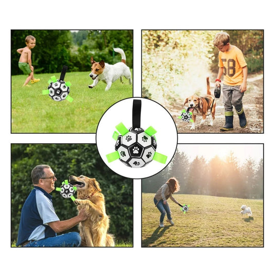 Brinquedo Bola Interativa para Cachorro B - Bola - 02 TER