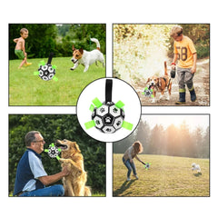 Brinquedo Bola Interativa para Cachorro B - Bola - 02 TER
