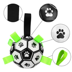 Brinquedo Bola Interativa para Cachorro B - Bola - 02 TER