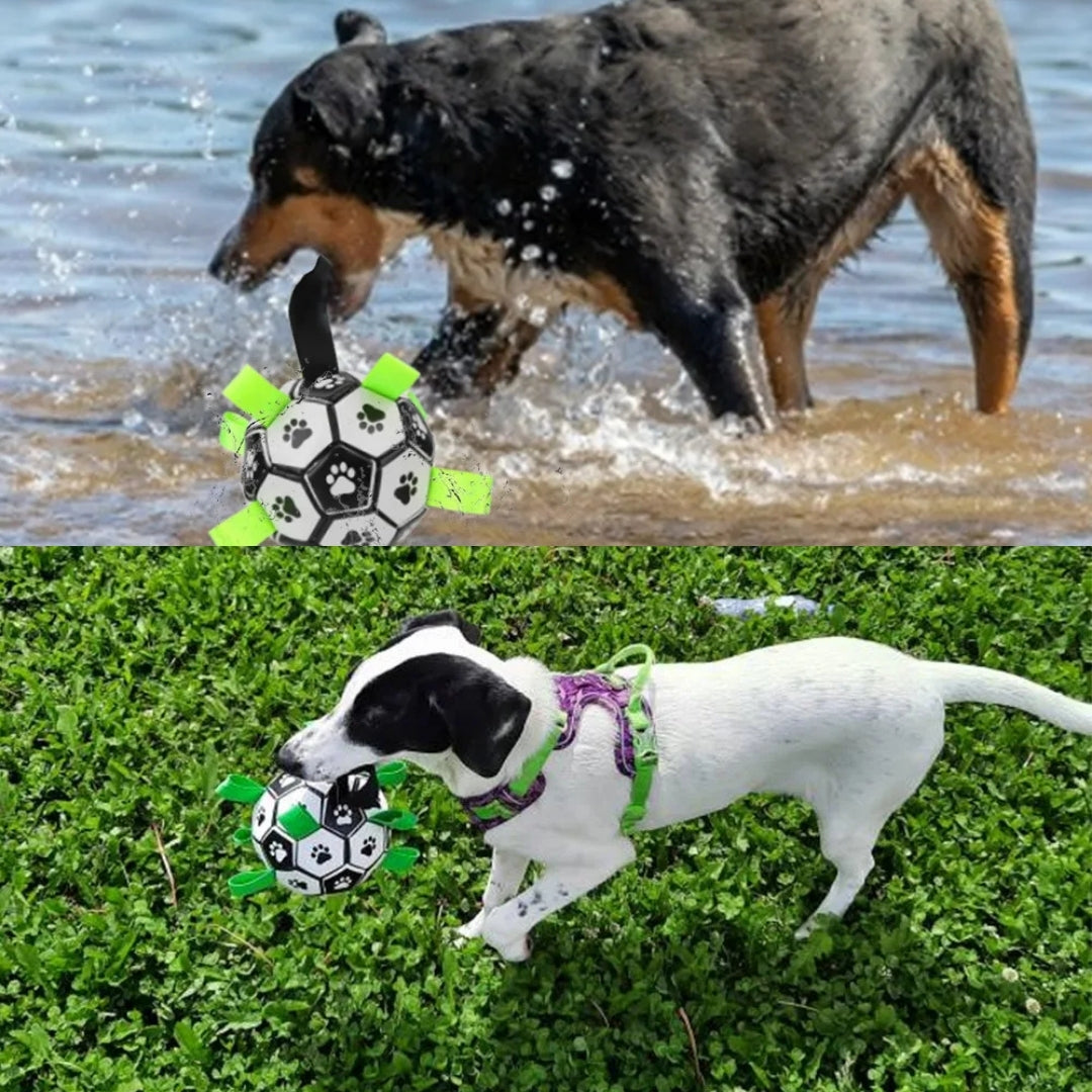Brinquedo Bola Interativa para Cachorro B - Bola - 02 TER